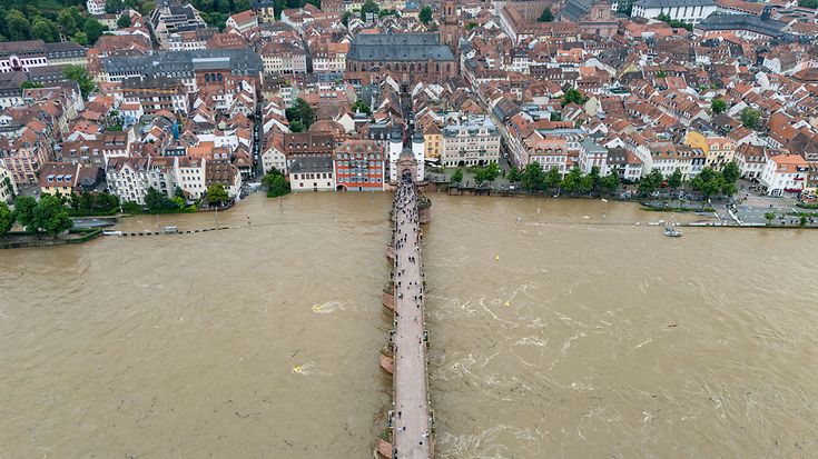 Hochwasser in Heidelberg Juni 2024 (© Boris Rössler / picture alliance)