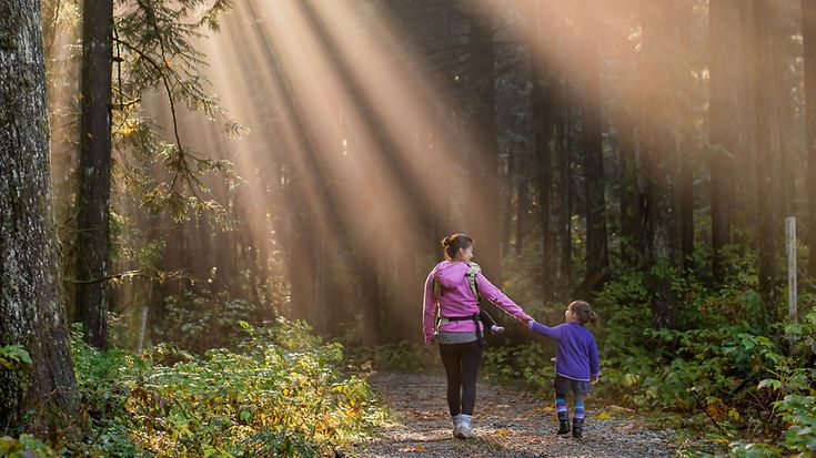 Life insurers sum up 2023 and look positively towards the future (© unsplash)