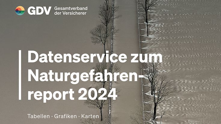 Datenservice zum Naturgefahrenreport 2024 (© picture alliance / Geisler-Fotopress / Ulrich Stamm)