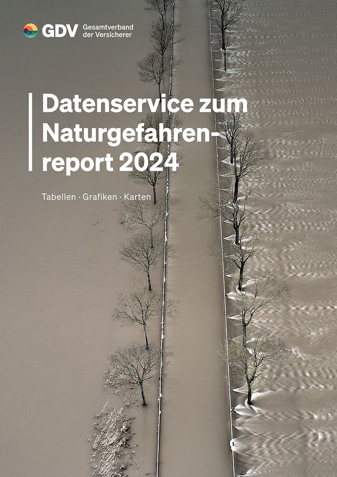 Datenservice zum Naturgefahrenreport 2024 (© picture alliance / Geisler-Fotopress / Ulrich Stamm)