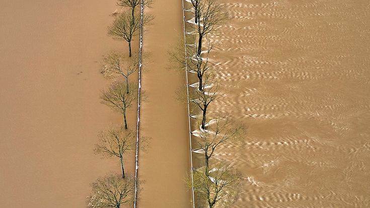 © picture alliance / Geisler-Fotopress / Ulrich Stamm