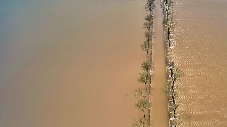 © picture alliance / Geisler-Fotopress / Ulrich Stamm