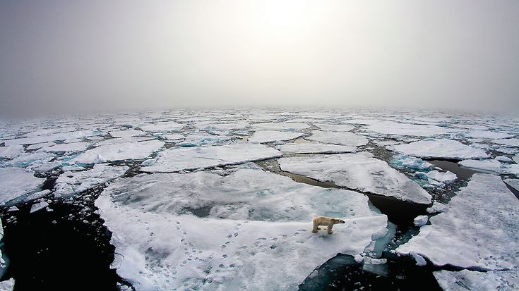 © NORWEGIAN POLAR INSTITUTE